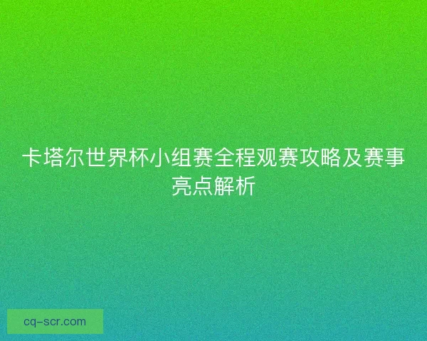 卡塔尔世界杯小组赛全程观赛攻略及赛事亮点解析
