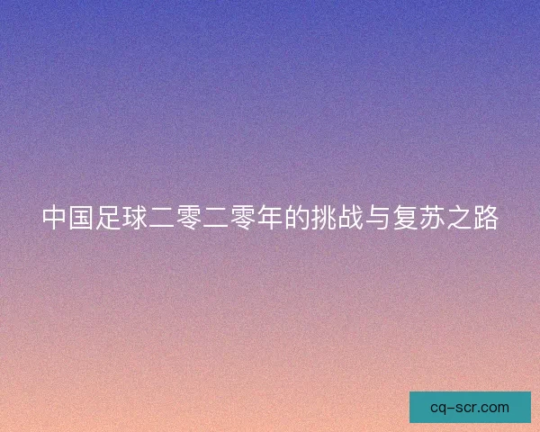 中国足球二零二零年的挑战与复苏之路